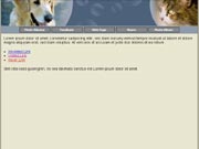 320