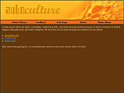 747
